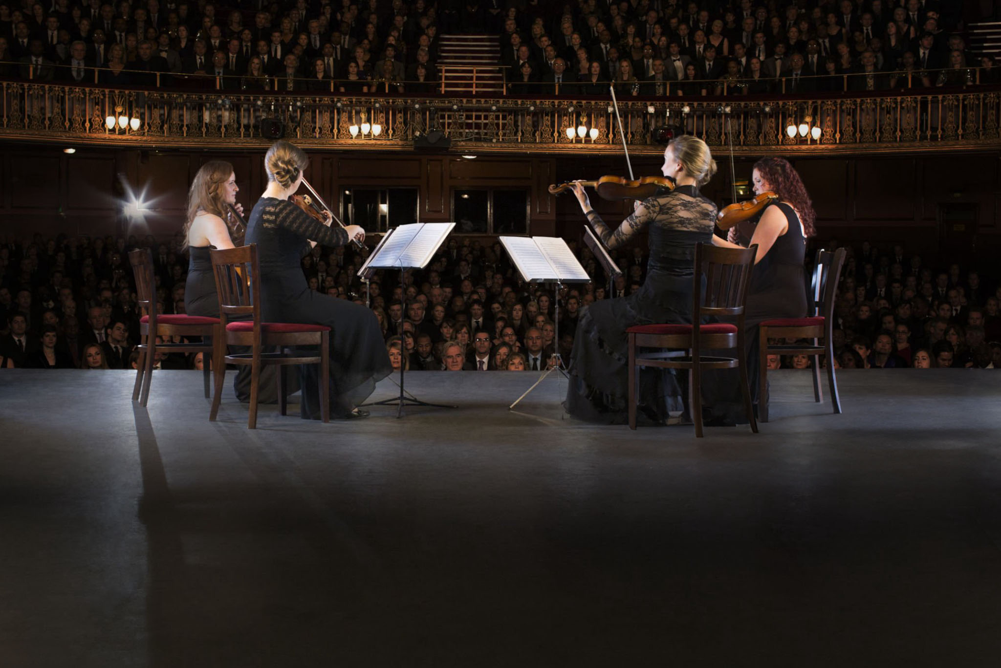 Concert / Performance